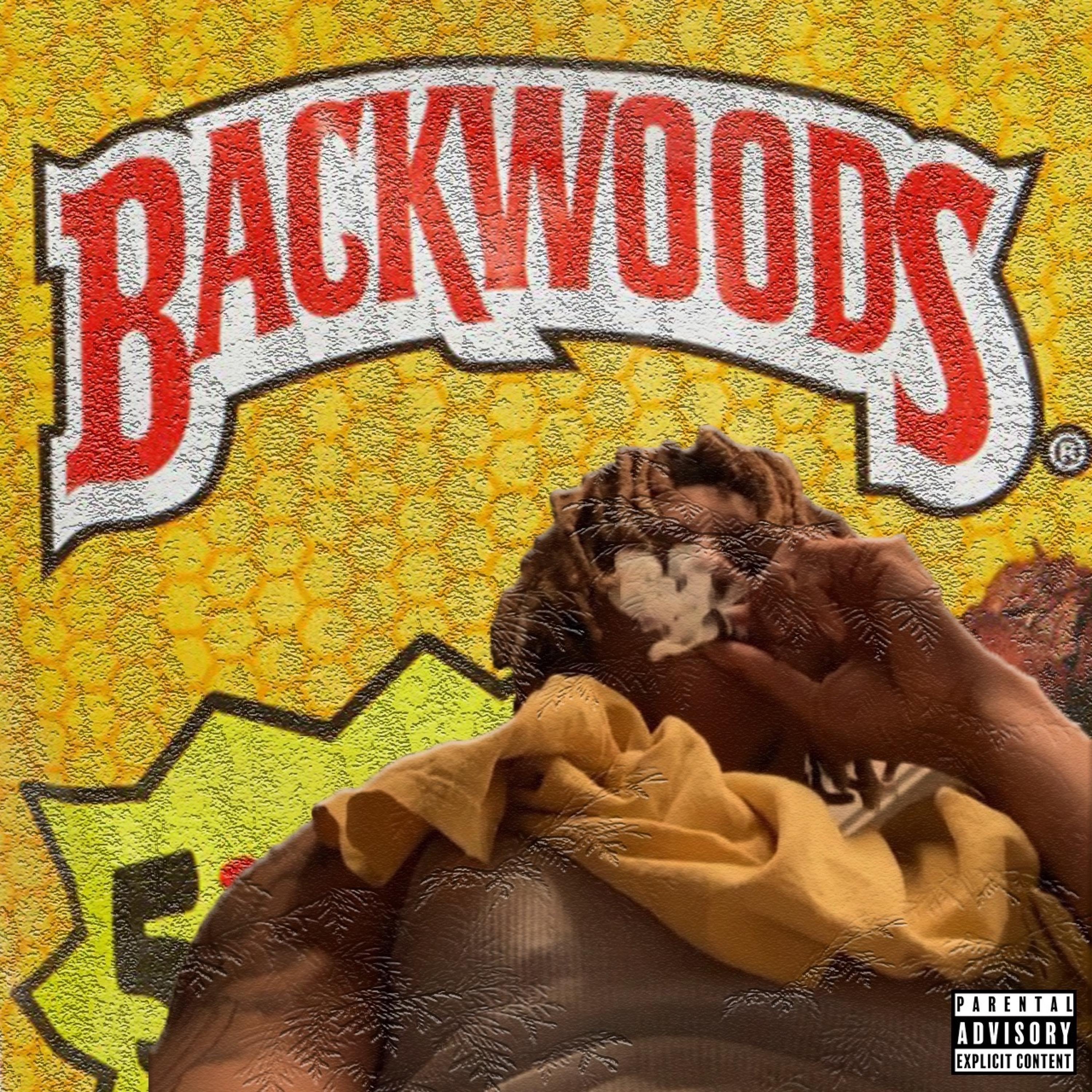 ++ Backie me Backie cover art