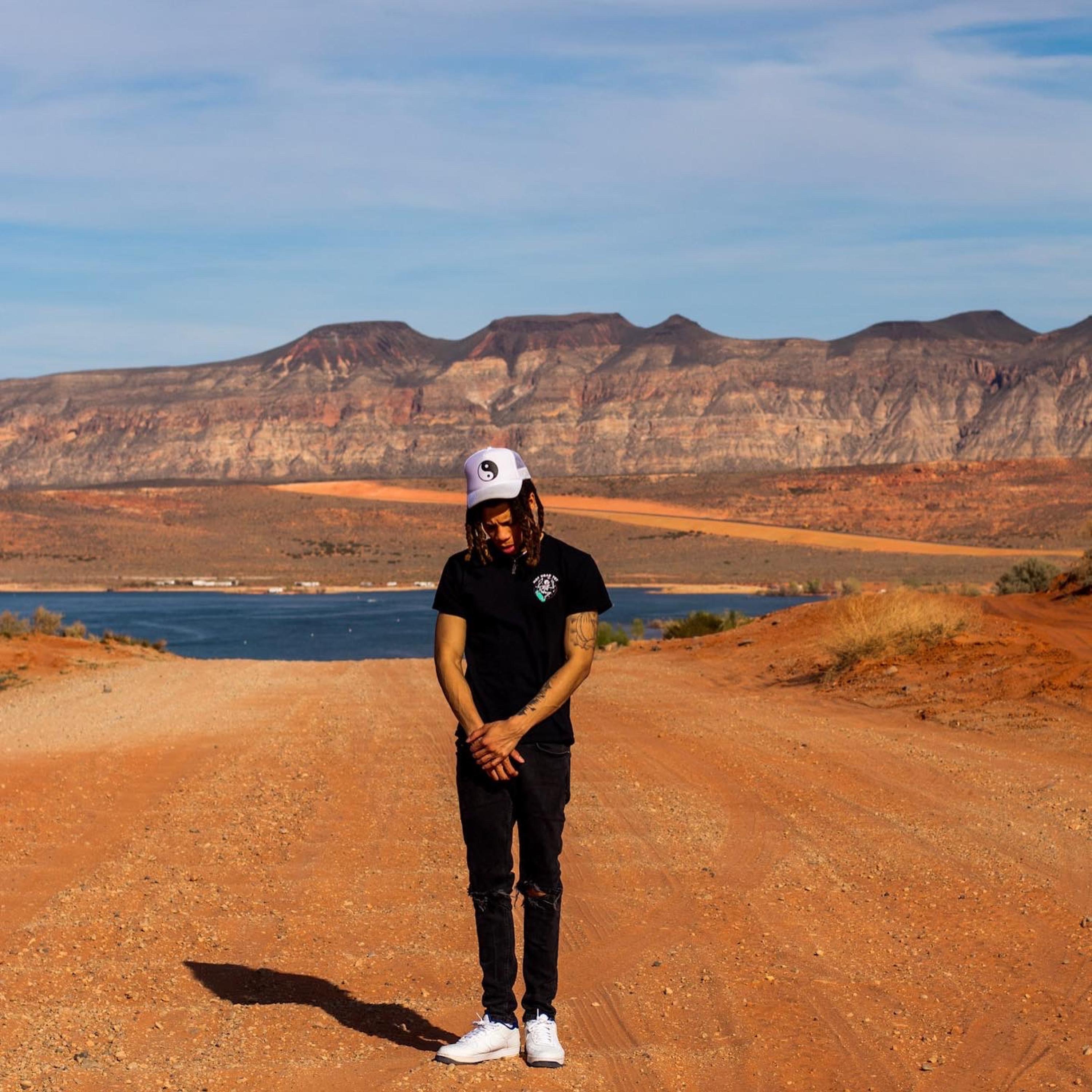 Shaddyland cover art